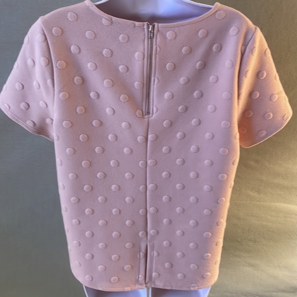 W5 size M pink dusty rose color dotted short sleeve knit top - Picture 7 of 12